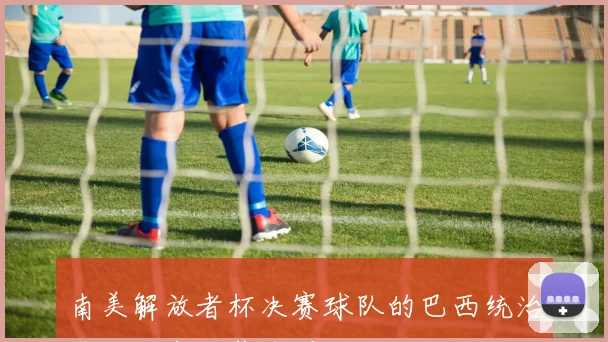 南美解放者杯决赛球队的巴西统治力近十年显著体现