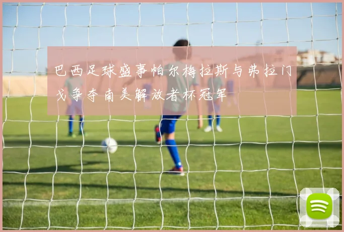 巴西足球盛事帕尔梅拉斯与弗拉门戈争夺南美解放者杯冠军